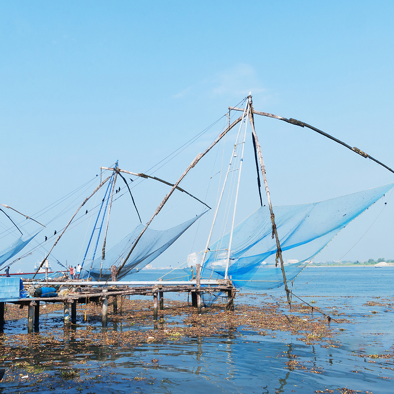 Fishing Net（News) (1)